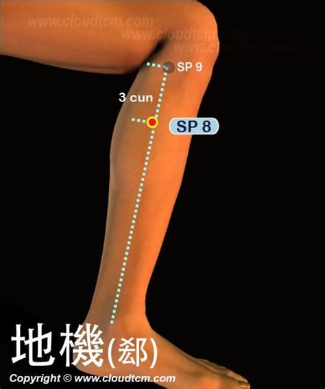 地經穴|人體穴位大全——地機穴：月經不調、痛經、乳腺炎等。